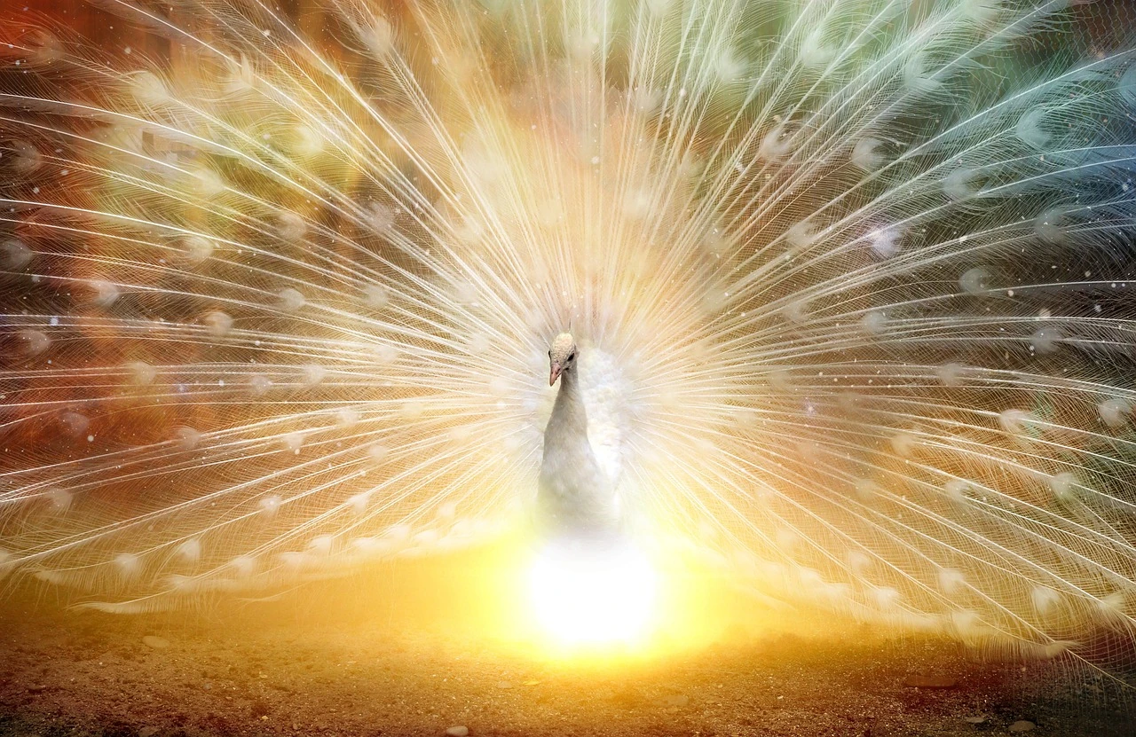 Acquire Power Through Self Development